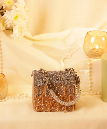 Steller Mini Clutch